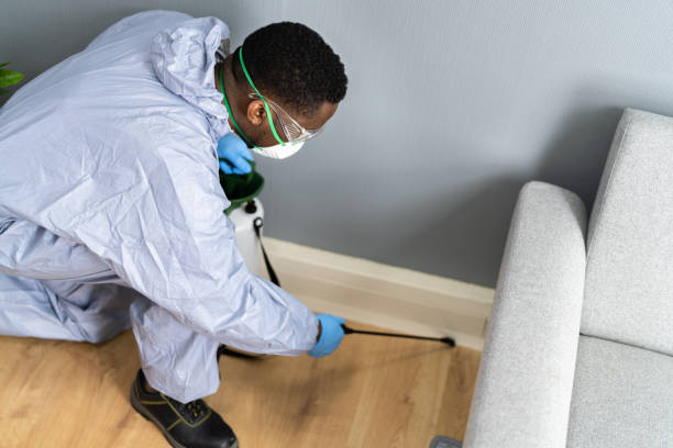 Best Residential Pest Control  in Peoria, IL